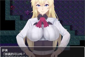 AY2061[强制NTR地下遗迹～女骑士莉娜][巴比伦汉化版][PC+安卓]