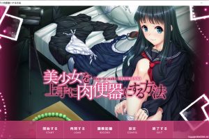 如何巧妙地将美少女变成绒布球 AI汉化版+存档★全CV[新汉化/600M]